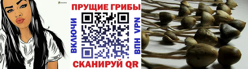 Галлюциногенные грибы мухоморы  Лаишево 