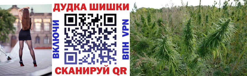 гидра ссылка  Лаишево  Шишки марихуана White Widow 